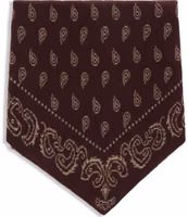 Brown Cashmere Foulard 1