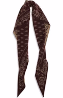 Brown Cashmere Foulard 2