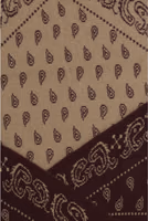 Brown Cashmere Foulard 3