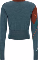 Multicolor Wool Cardigan 2
