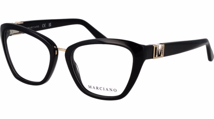 Black Metal & Plastic Glasses (Frames)