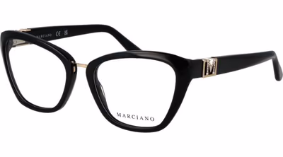 Black Metal & Plastic Glasses (Frames)