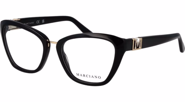 Black Metal & Plastic Glasses (Frames)