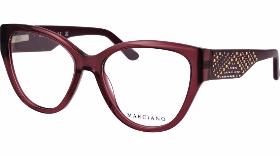Pink Plastic Glasses (Frames)