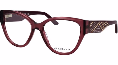 Pink Plastic Glasses (Frames)