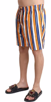 Multicolor Striped Beachwear Swimshorts 1