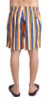 Multicolor Striped Beachwear Swimshorts 2