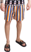 Multicolor Striped Beachwear Swimshorts 3