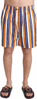 Multicolor Striped Beachwear Swimshorts 4