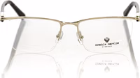 Gold Metallic Mens Frame 1