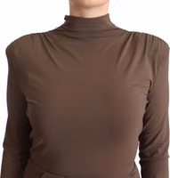 Brown Acetate Long Sleeves Turtle Neck Sheath Dress 3