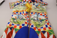 Multicolor Printed Snow Trouser Pants 5