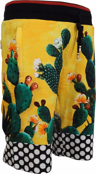 Multicolor Cactus Print Cotton Sweat Shorts