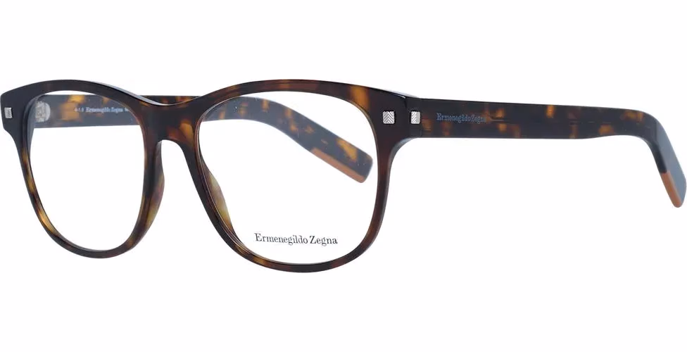 Brown Plastic Glasses (Frames)