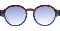 Brown Acetate Sunglasses 2