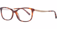 Brown Plastic Glasses (Frames) 1