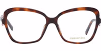 Brown Plastic Glasses (Frames) 2