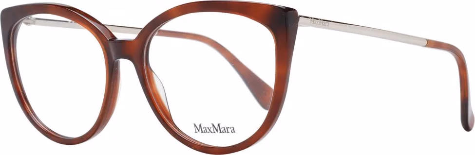 Brown Plastic Glasses (Frames)