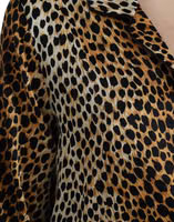 Brown Leopard Print Long Sleeves Blouse Top 5