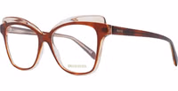 Brown Plastic Glasses (Frames) 1