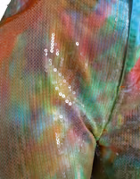Multicolor Tie Dye Sequined High Waist Cropped Pants 4