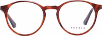 Brown Acetate Glasses (Frames) 2