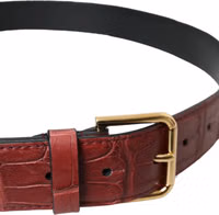 Brown Alligator Leather Studded Metal Buckle Belt 3