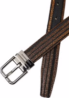 Gold Jacquard Stripes Silver Metal Buckle Belt 5