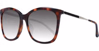 Brown Women Sunglasses 1