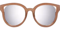 Brown Metal & Plastic Sunglasses 2