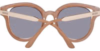 Brown Metal & Plastic Sunglasses 3