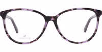 Multicolor Plastic Glasses (Frames) 2