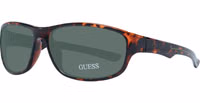 Brown Plastic Sunglasses 1