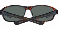 Brown Plastic Sunglasses 3