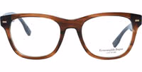 Brown Plastic Glasses (Frames) 2