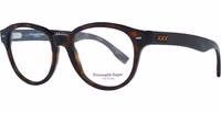 Brown Plastic Glasses (Frames) 1