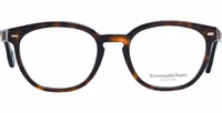 Brown Plastic Glasses (Frames) 2