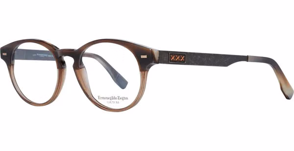 Brown Plastic Glasses (Frames)