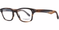 Brown Plastic Glasses (Frames) 1