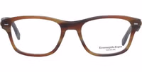 Brown Plastic Glasses (Frames) 2
