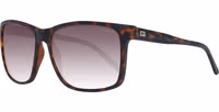 Brown Plastic Sunglasses 1