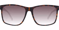 Brown Plastic Sunglasses 2