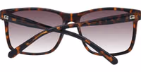 Brown Plastic Sunglasses 3