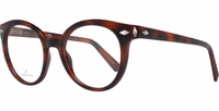 Brown Plastic Glasses (Frames) 1