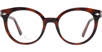 Brown Plastic Glasses (Frames) 2
