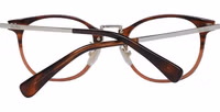 Brown Plastic Glasses (Frames) 3