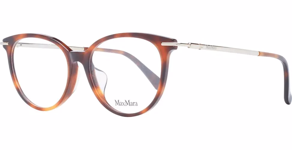 Brown Plastic Glasses (Frames)
