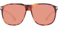 Brown Plastic Sunglasses 2