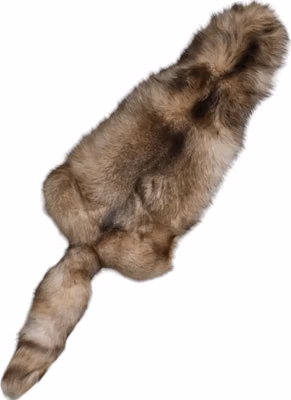 Brown Frost Fox Fur Neck Warmer Winter Scarf