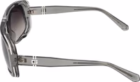 Gray Plastic Sunglasses 4
